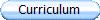 Curriculum